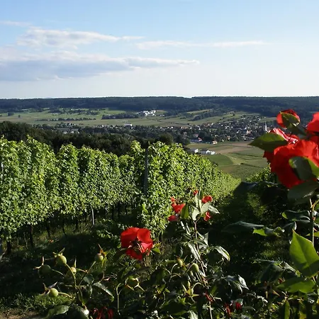 Golf & Wellness Apartment 34. Bad Waltersdorf Pokój zdjęcie