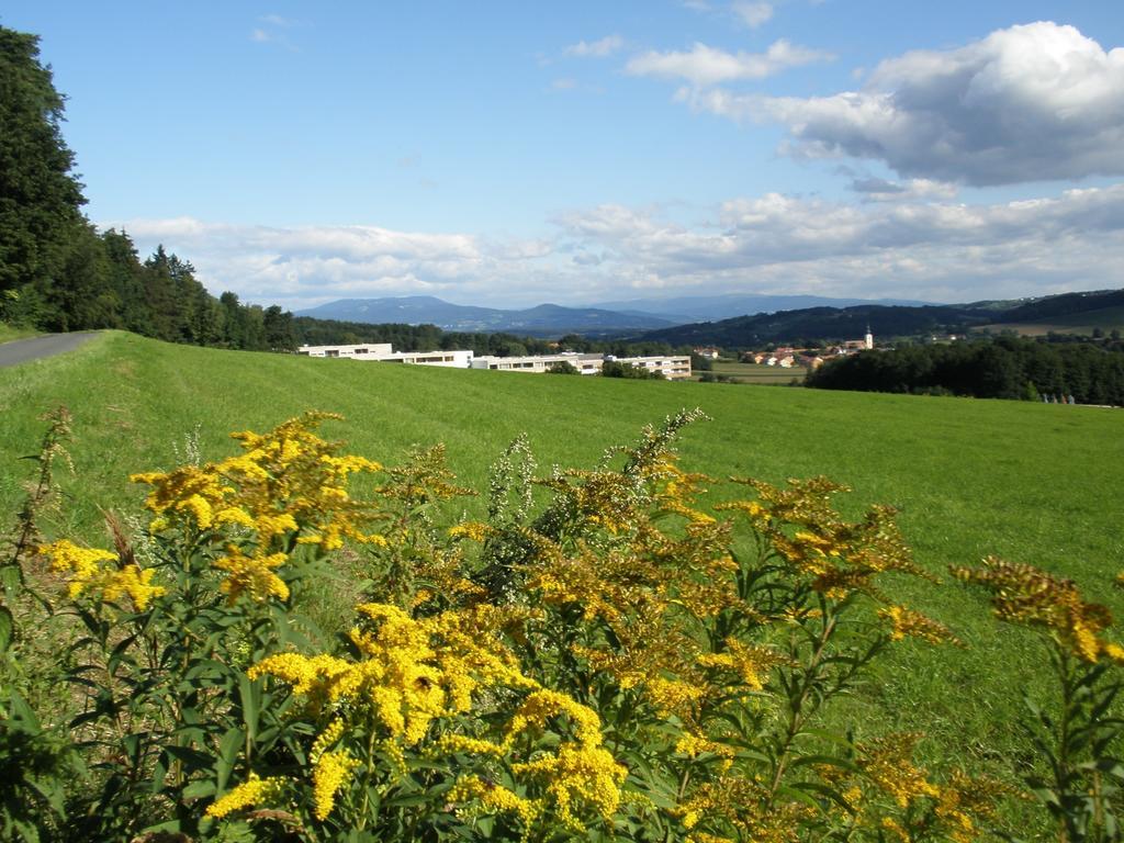 Golf & Wellness 34. Apartament *